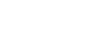 Multichannel Merchant