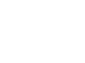 Conagra Logo - Inverted