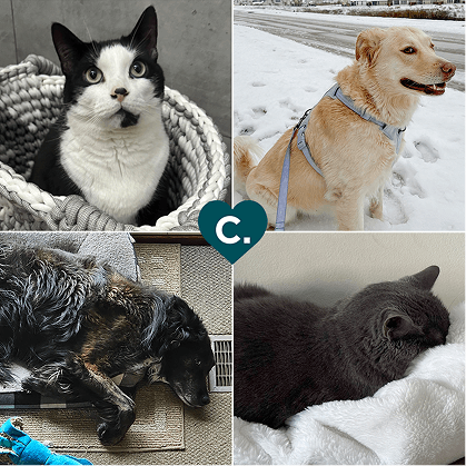 pets (2) (1)