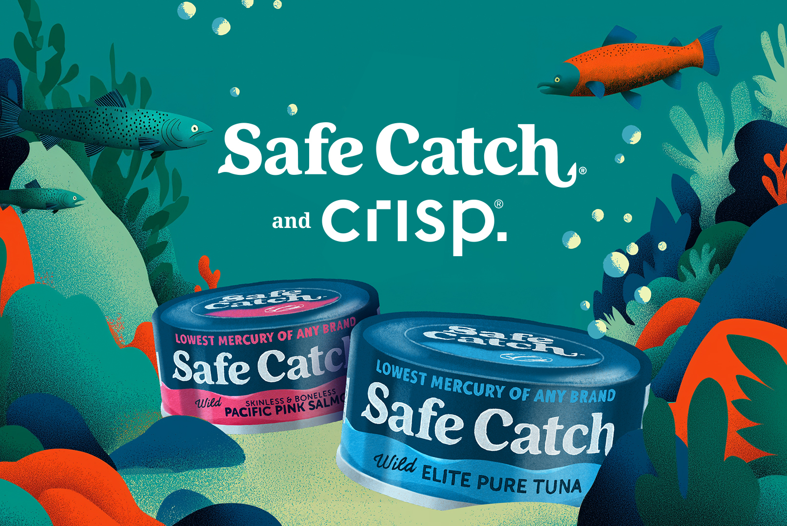 Safe Catch and Crisp case study, M savings