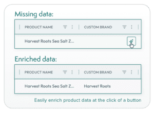 Crisp AI Master Data Inline