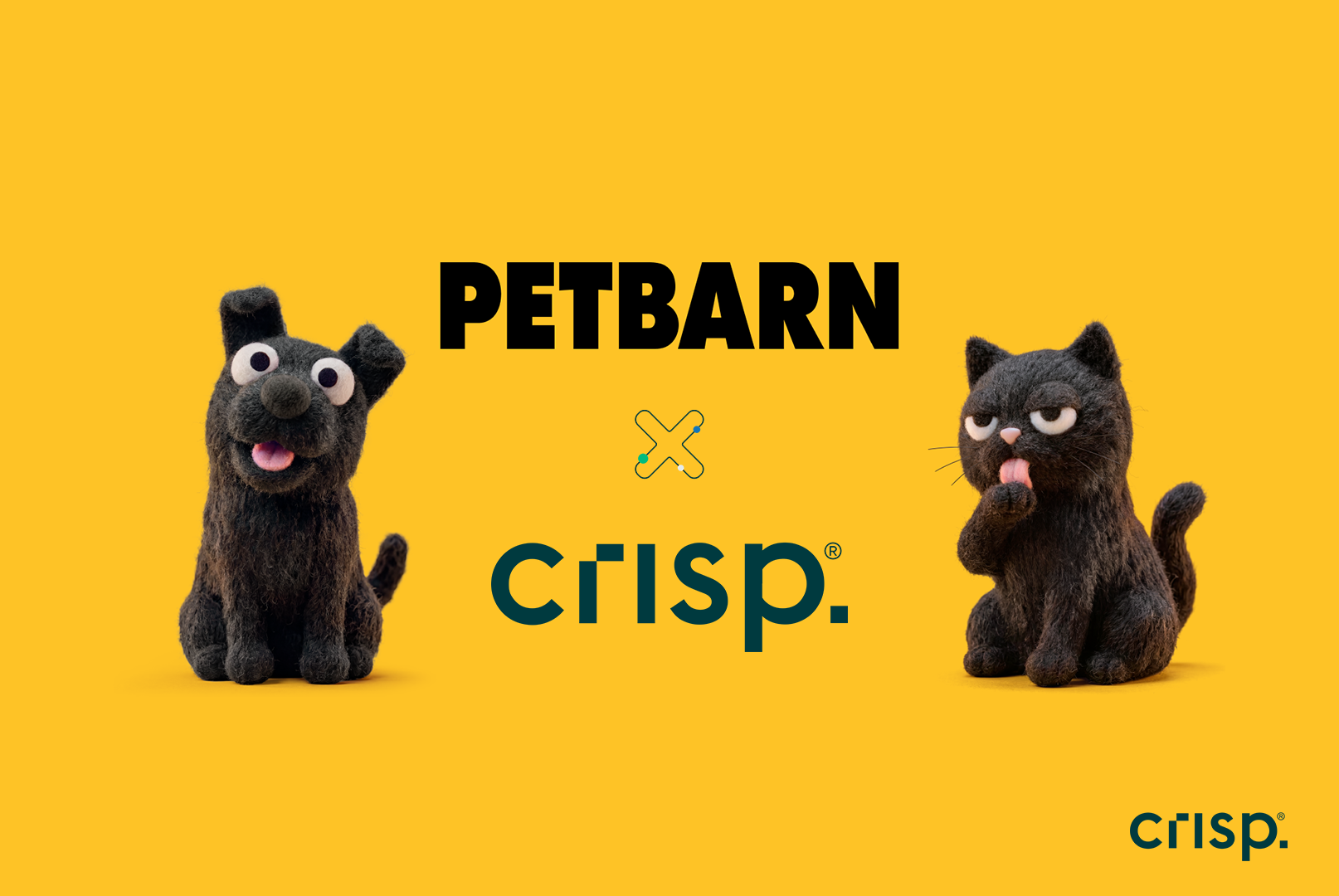 Crisp helps Australia's largest pet retailer, Petbarn, to automate store planning ties to POS insights.